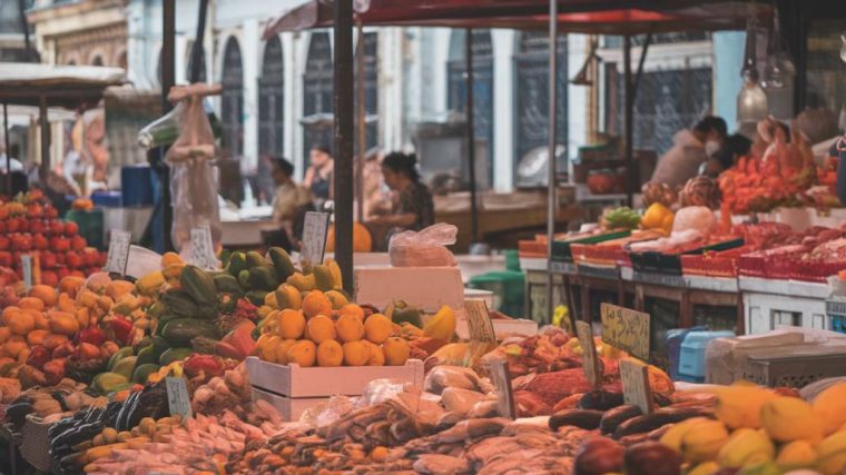 Culinária e cultura: conheça o Mercado Ver-o-Peso em Belém