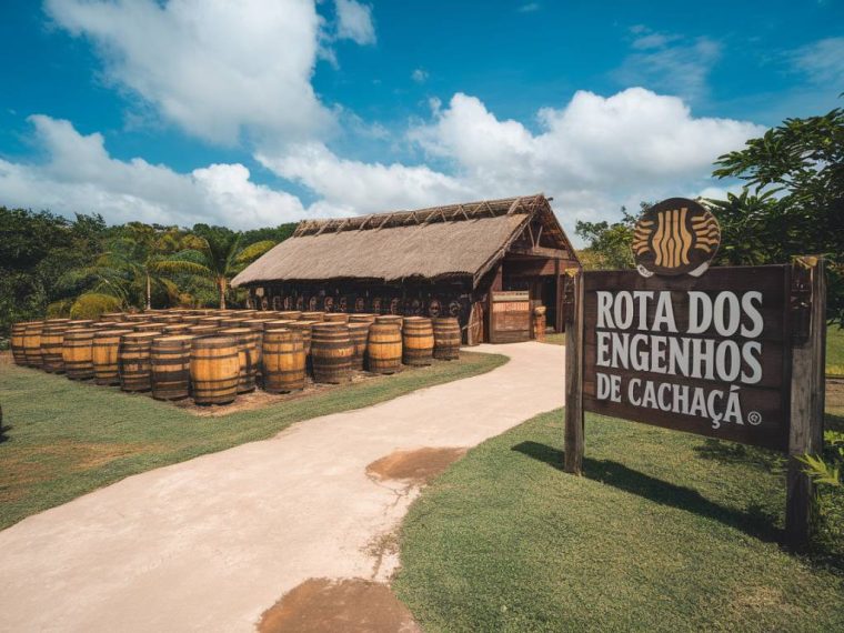 Rota dos engenhos de cachaça em Pernambuco